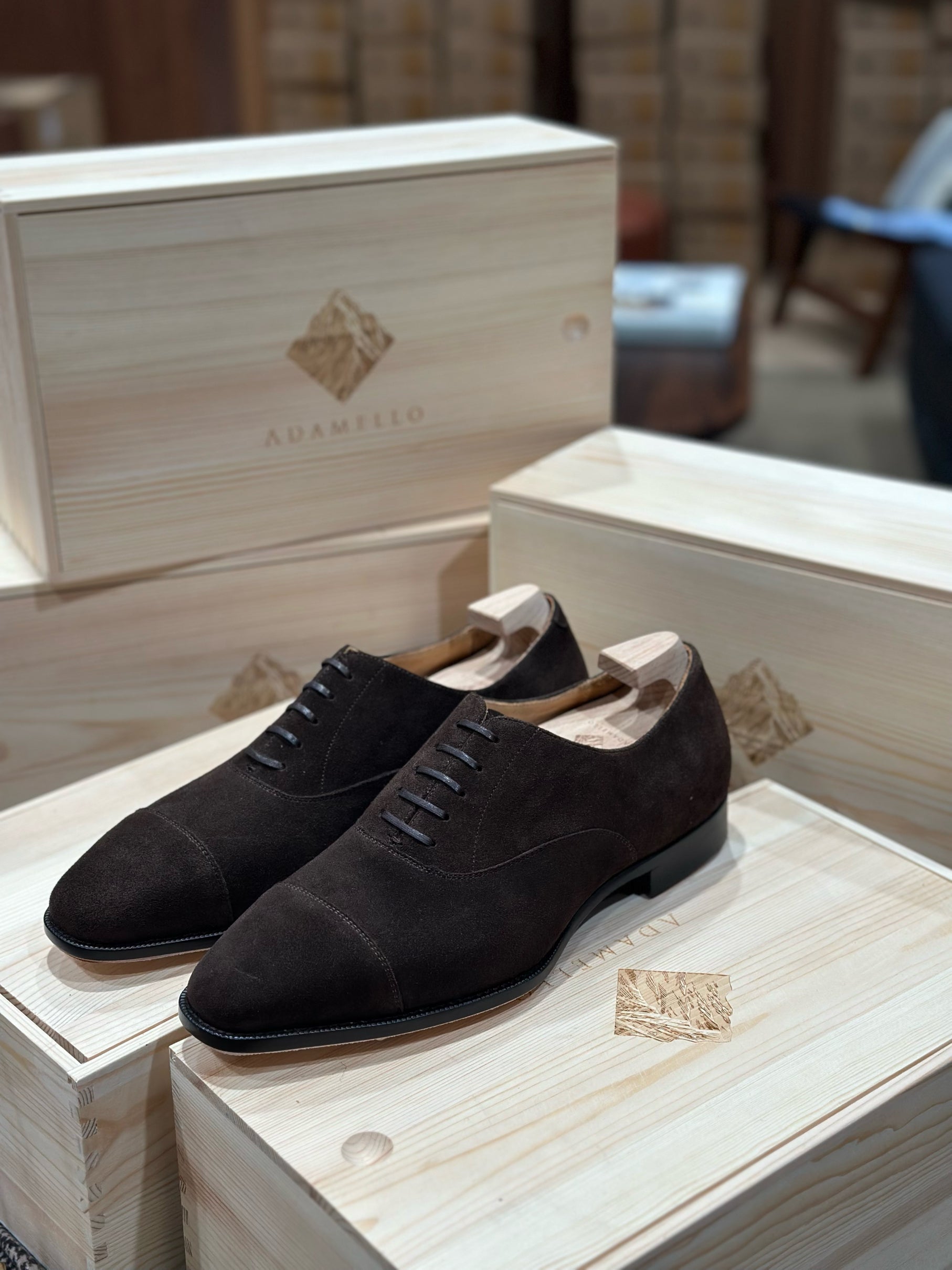 Adamello “Roma” Dark Brown Suede Calf Oxford