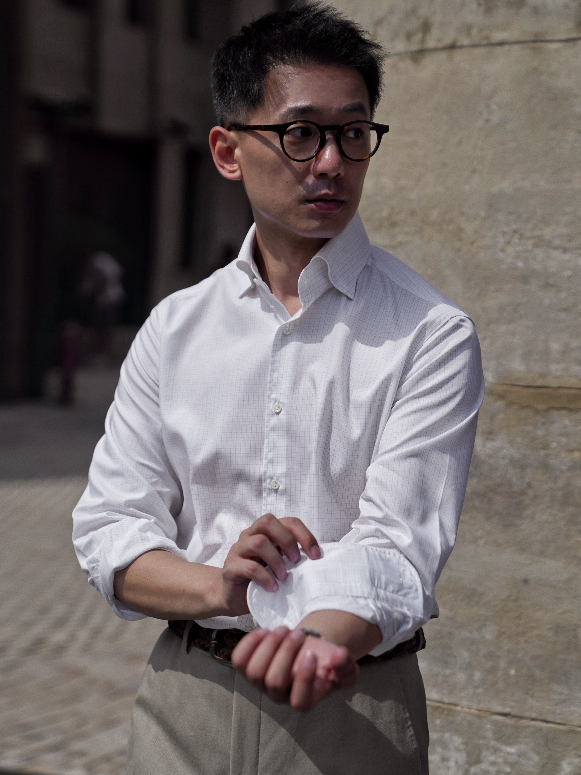 Khaki Stripe/Small Windowpane Cotton Shirt